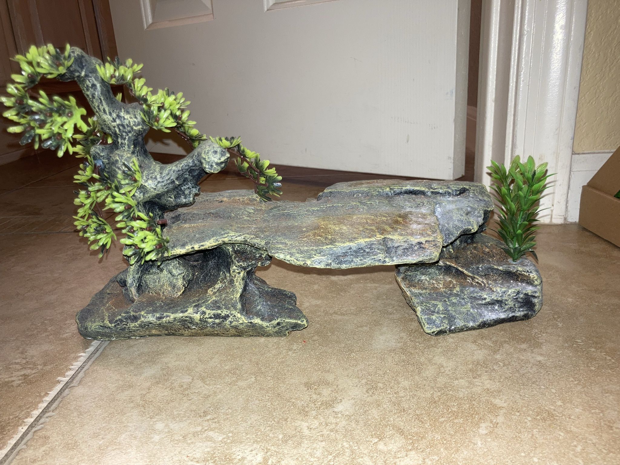 Large fish tank/terrarium decoration