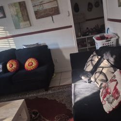 Sillónes Negros Medianos