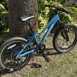 20” Schwinn High Timber ALX Step-Thru – Lightweight, Great Condition