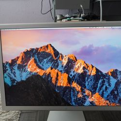 Apple Cinema Display 30”