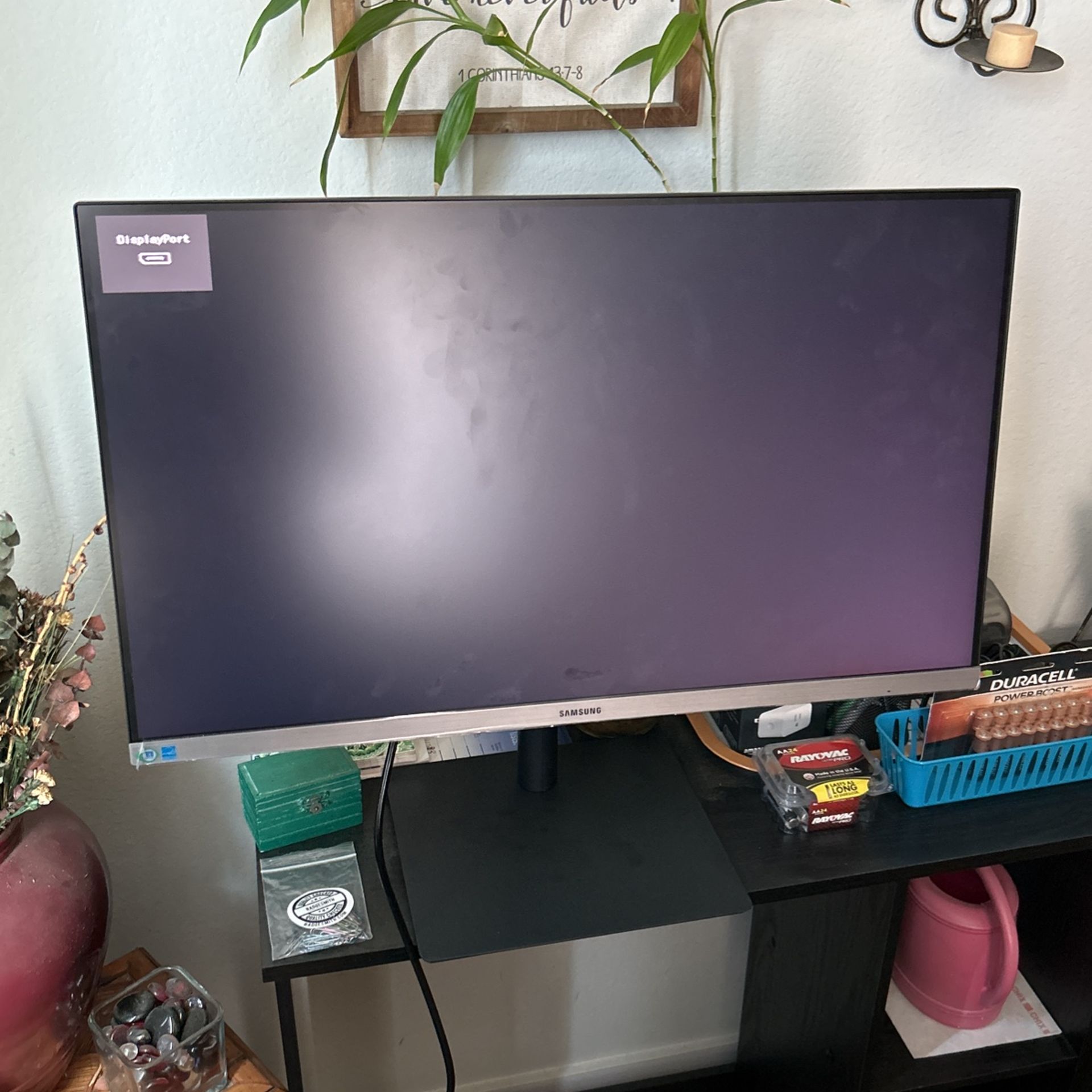 Samsung Professional Computer Monitor 