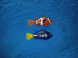 Pescados de juguete para el agua
