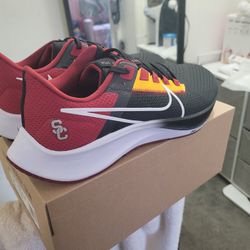 Nike Pegasus USC