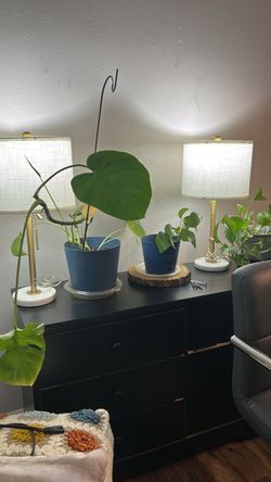 2-Table lamps