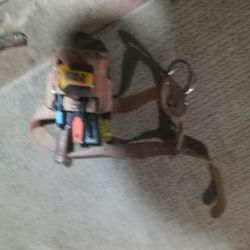 Tool Belt 