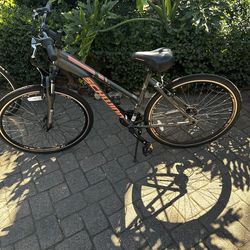 Shcwinn Large Bike 2021 model#S8095DSGLGQ