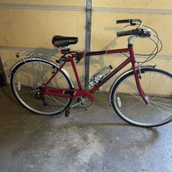 Schwinn  Bicycle 100