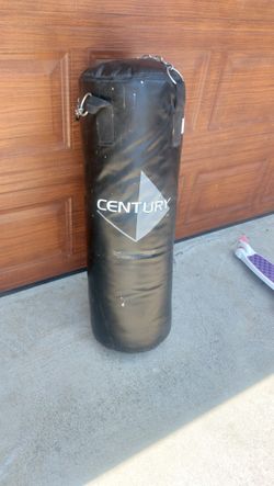 Punching Bag 80lb