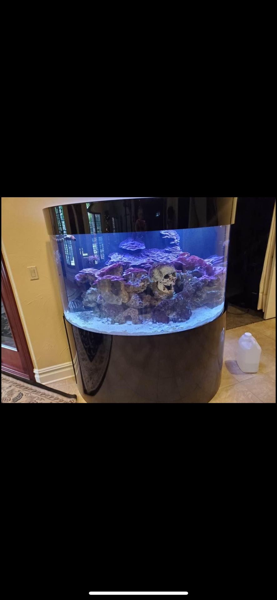 150 Gallon Acrylic Aquarium with a canopy - Custom Design