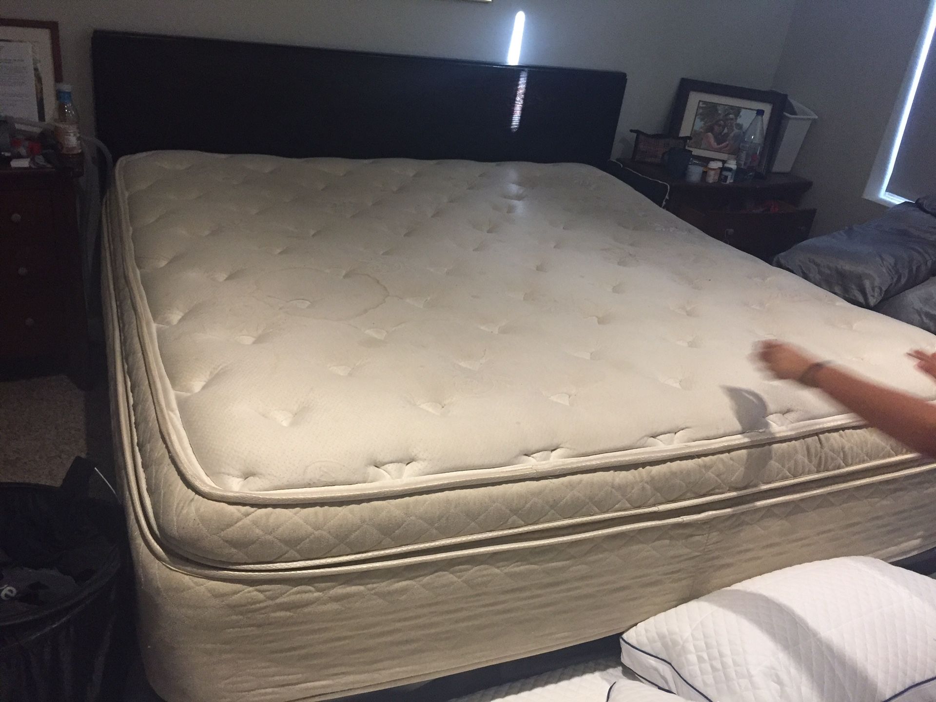 Free dress Pillow Top California King mattress. Has some coffee and juice stains.