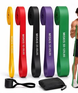 Miskis Resistance Bands Set