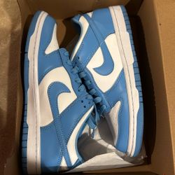 Big Kid Size Nike Dunk 