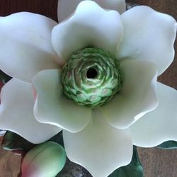 $15-House of Lloyd limited edition of a beautiful porcelain magnolia that  lights up$15