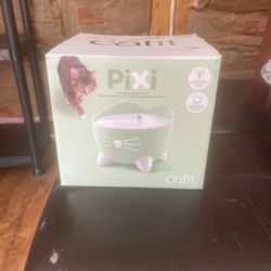 Cat Bowl 