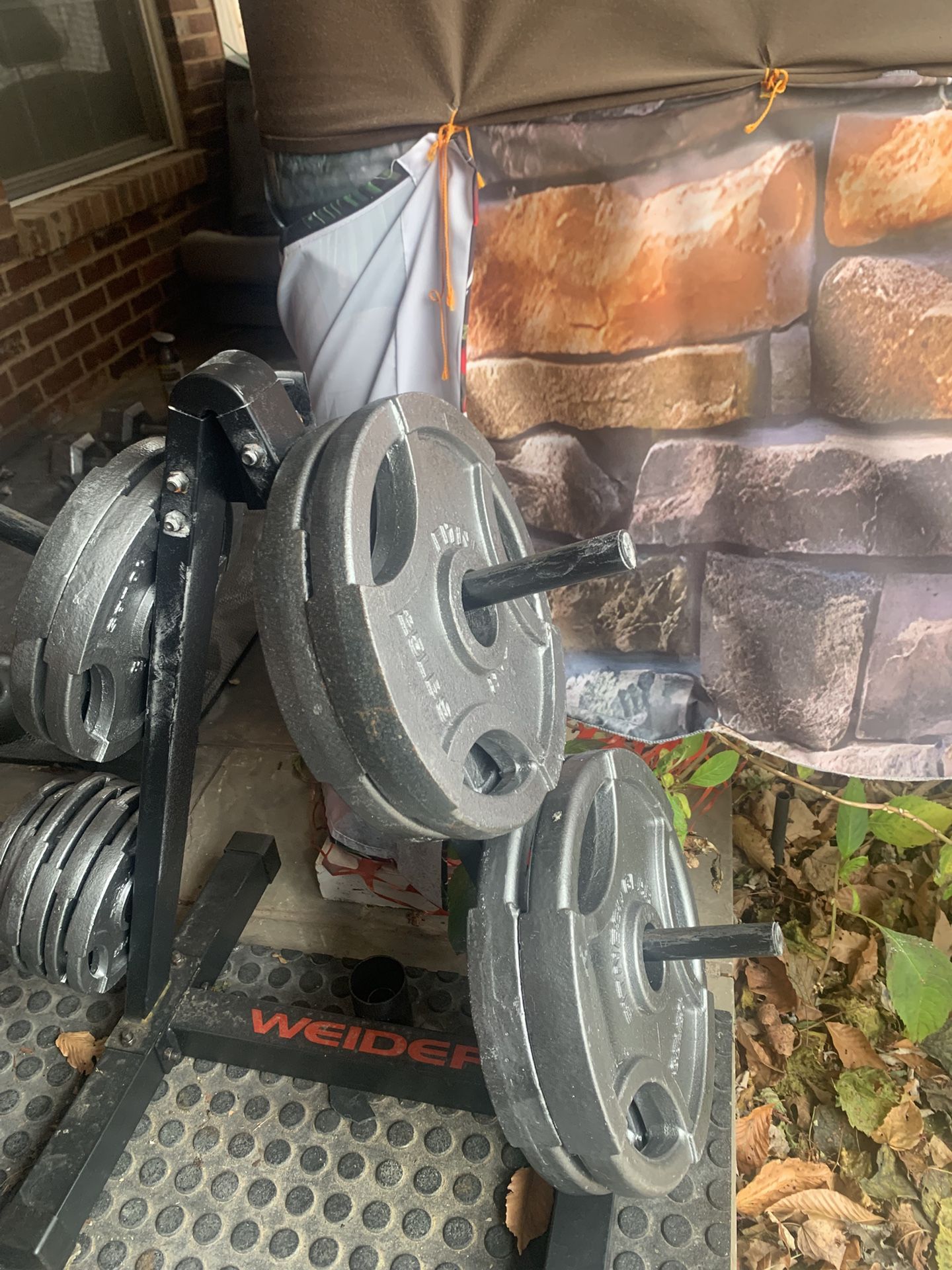 Olympic 2 Inch Weights Plates