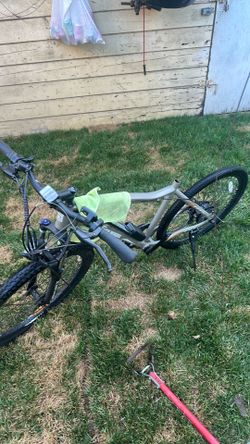 Electric bikes