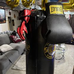 Boxing Bag 