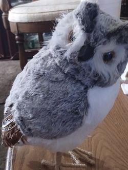 Abbott Gray & White Horned Owl