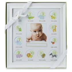 Stepping Stones Monthly Milestones Baby First Year Picture Frame