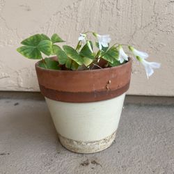 Smaller Planter