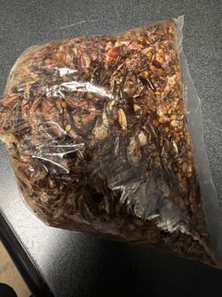 Chapulines en venta