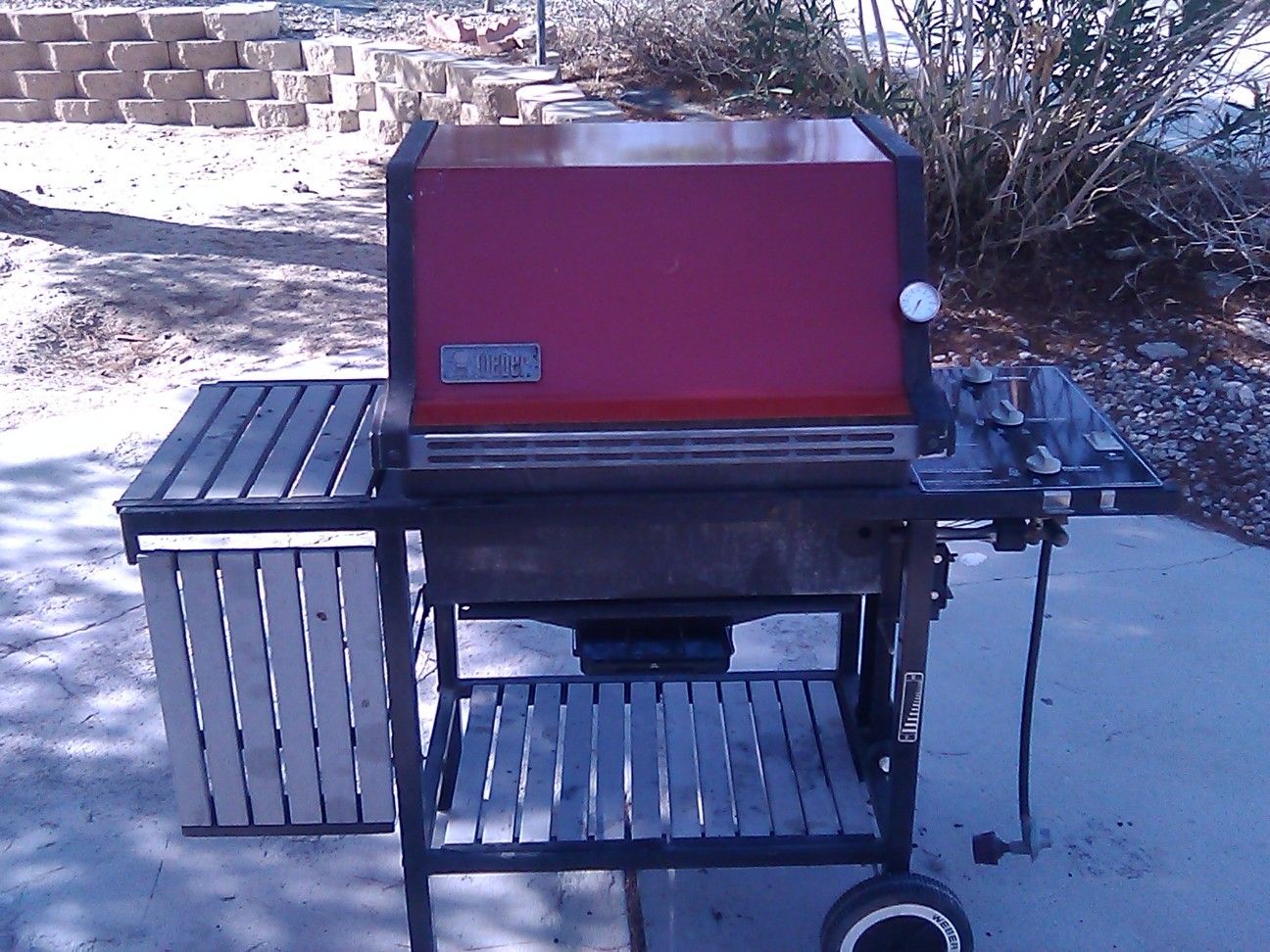 Weber Propane Grill