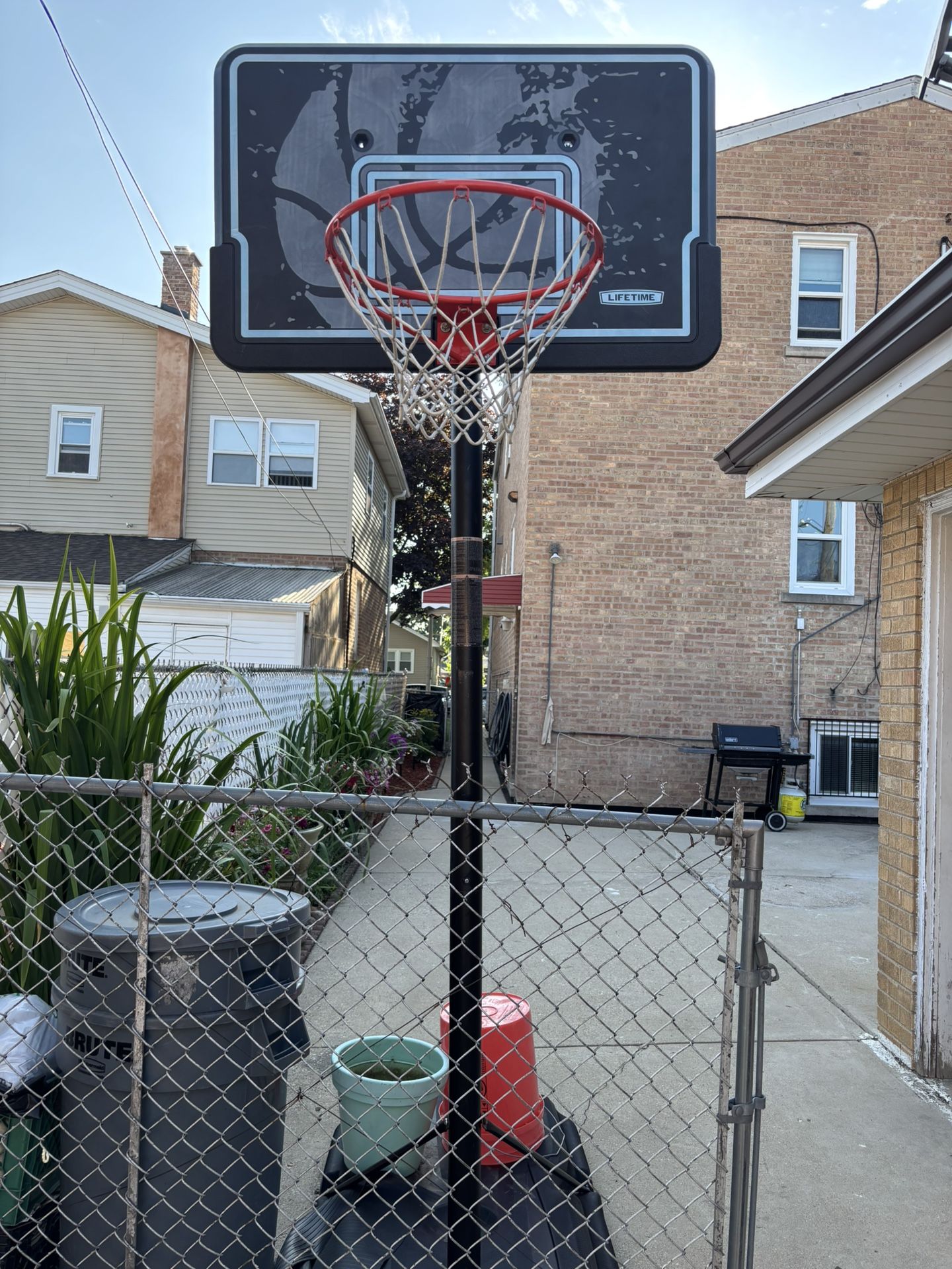 Lifetime Basketball Hoop