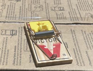 Mouse Traps / Case Qty-72