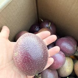 Organic Passion fruits