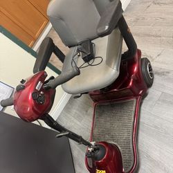 Adult scooter