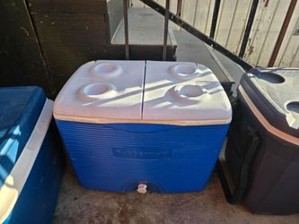 Ice cooler