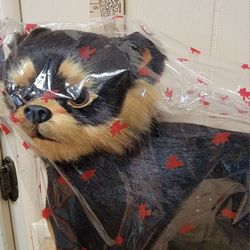 Dog Toy Model Yorkshire Terrier Puppy-Lifelike 