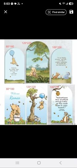 Baby Shower Arch Covers Winnie The Pooh