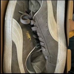 Puma Suede And Multicolor Vans 