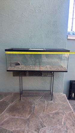 Reptile aquarium