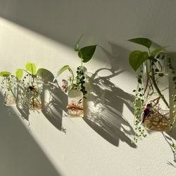 4 Hanging Propagation Plant Holders With Koi Fish