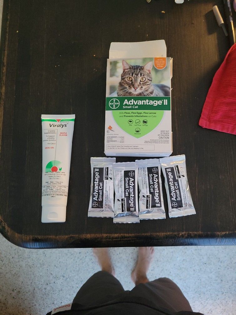 Advantage 2 Small Cats And Viralys Oral Gel