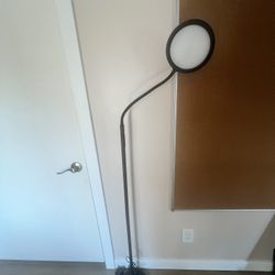 Pack Of 3 Selfie Lights
