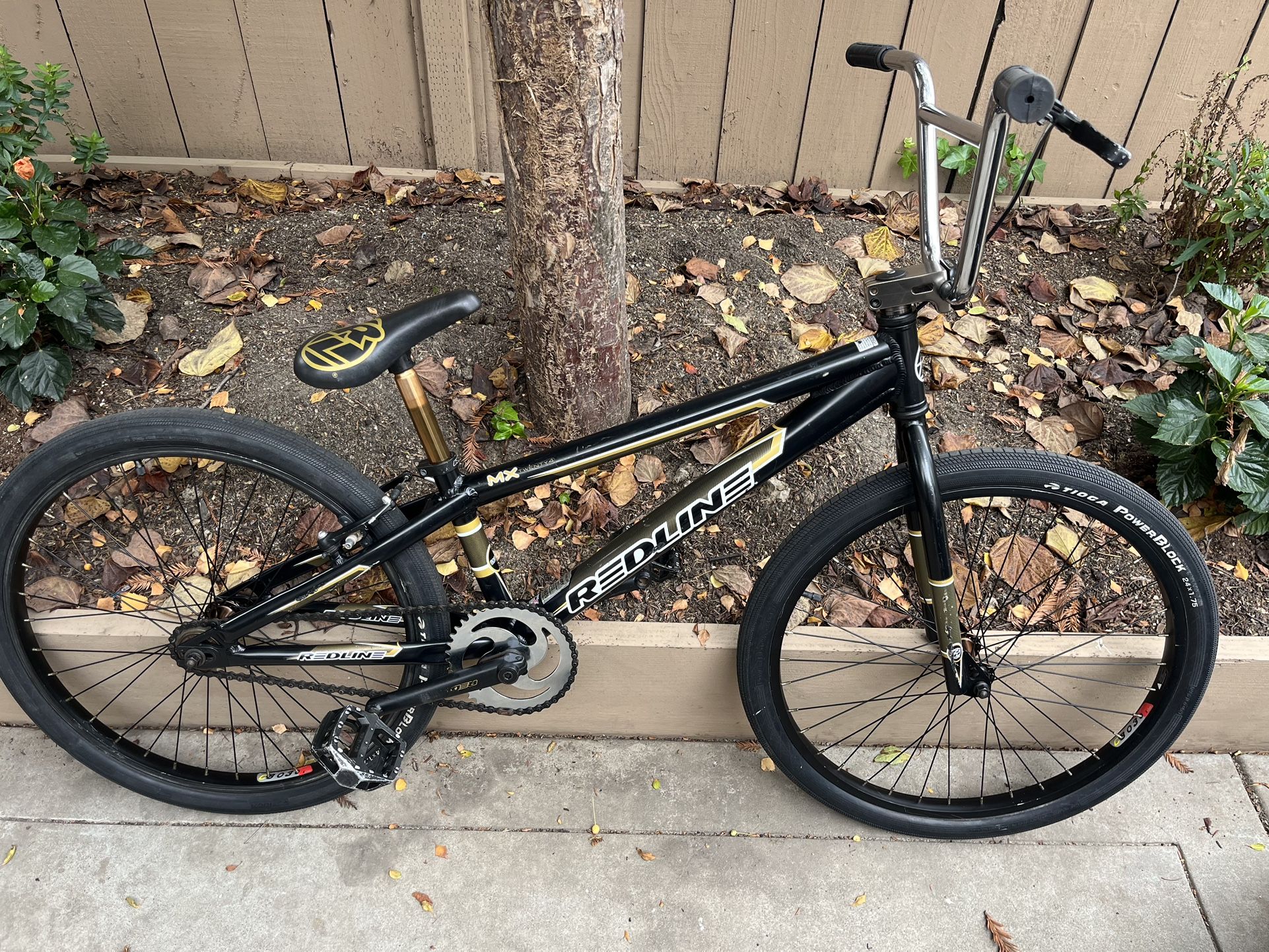 Redline Bmx Cruiser Bike