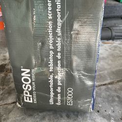 Projection Screen- Portable