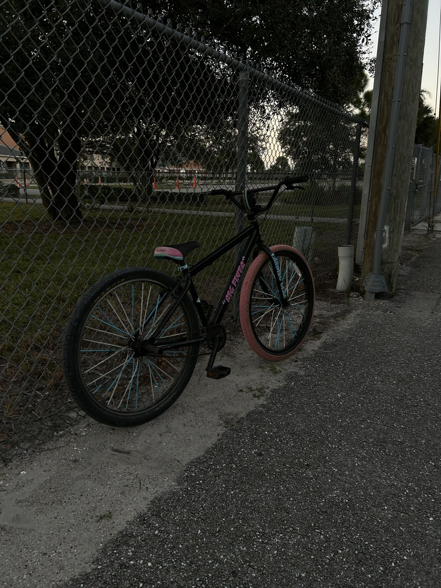 29’ Big Flyer SE Bike