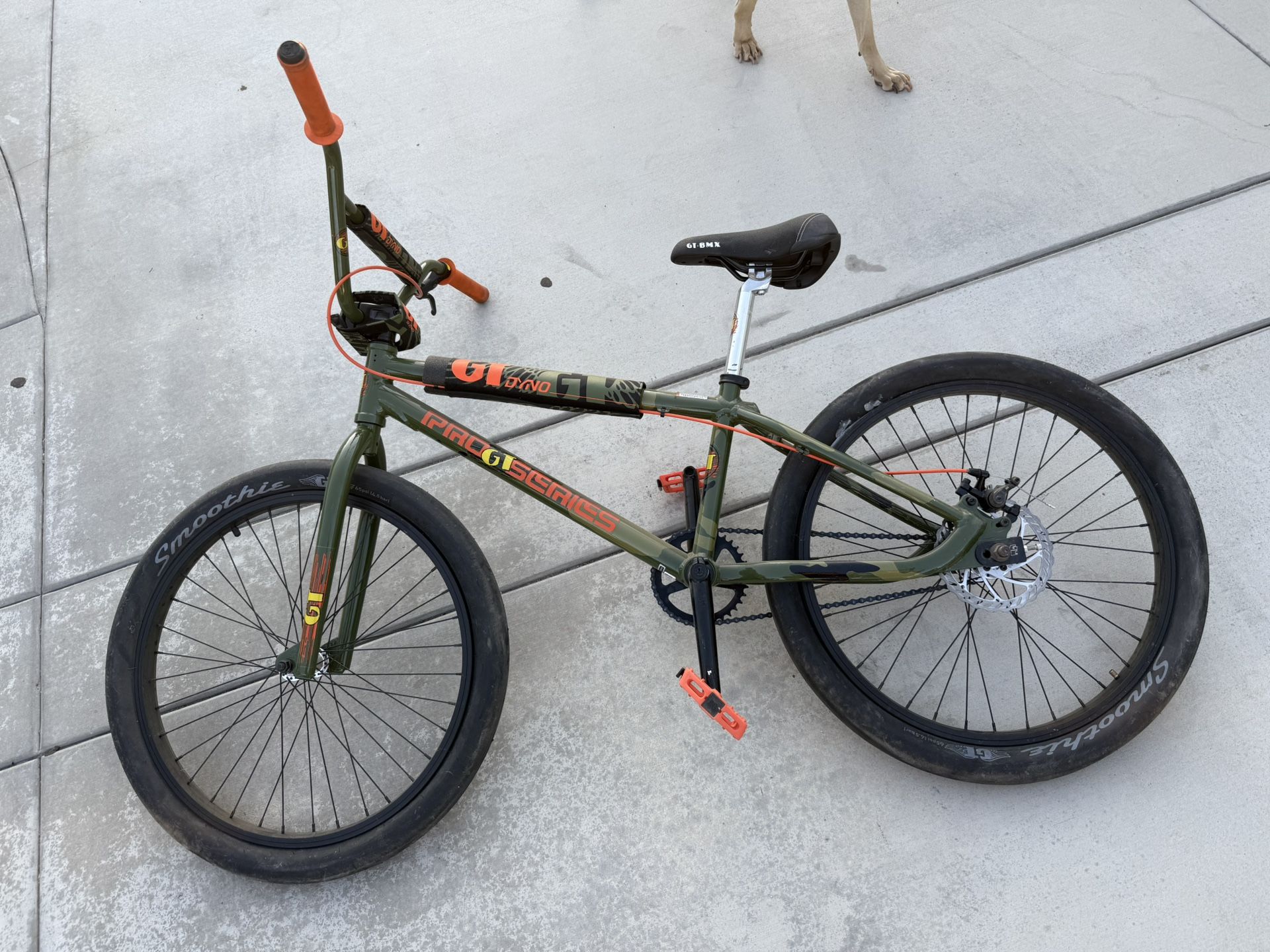 GT Dyno/SE Bikes