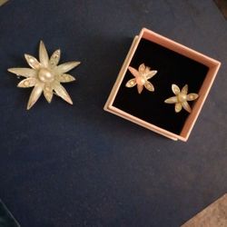 Earrings And A Brooch Set