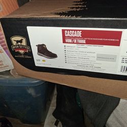 Cascade Irish Setter