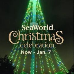 San Diego SeaWorld 