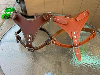 Dog Harness