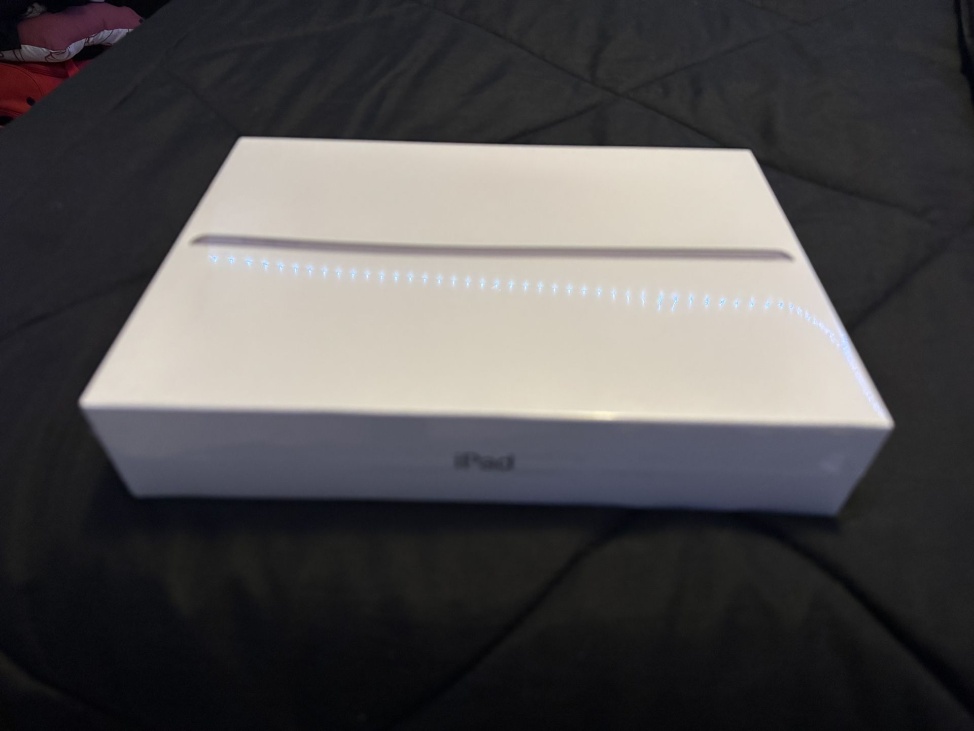 iPad