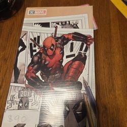 D.C. Casual Mens Shoes