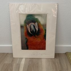 Bird art/photo