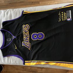 Nike Dri Fit 44 Size Lebron James Lakers Jersey #23 for Sale in North  Royalton, OH - OfferUp